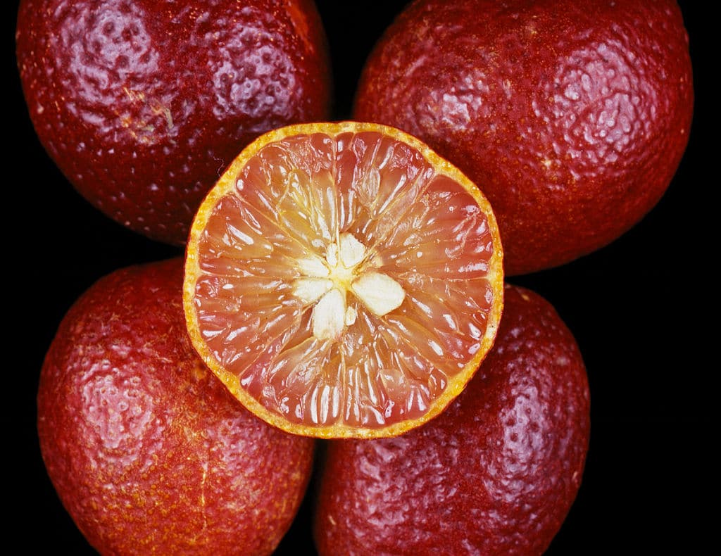 Citrus australasica australian red lime