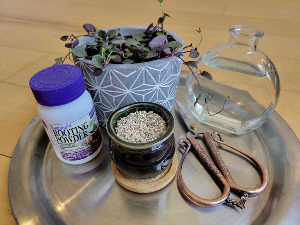 string of hearts propagation tools