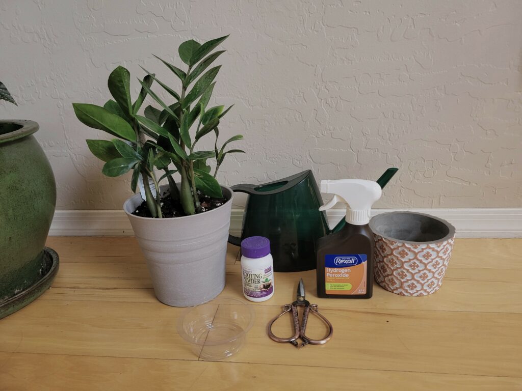 tools for zz plant propagation