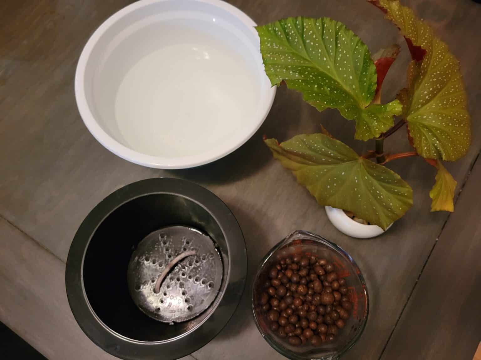 How to Use Clay Pebbles for Houseplants Just Houseplants