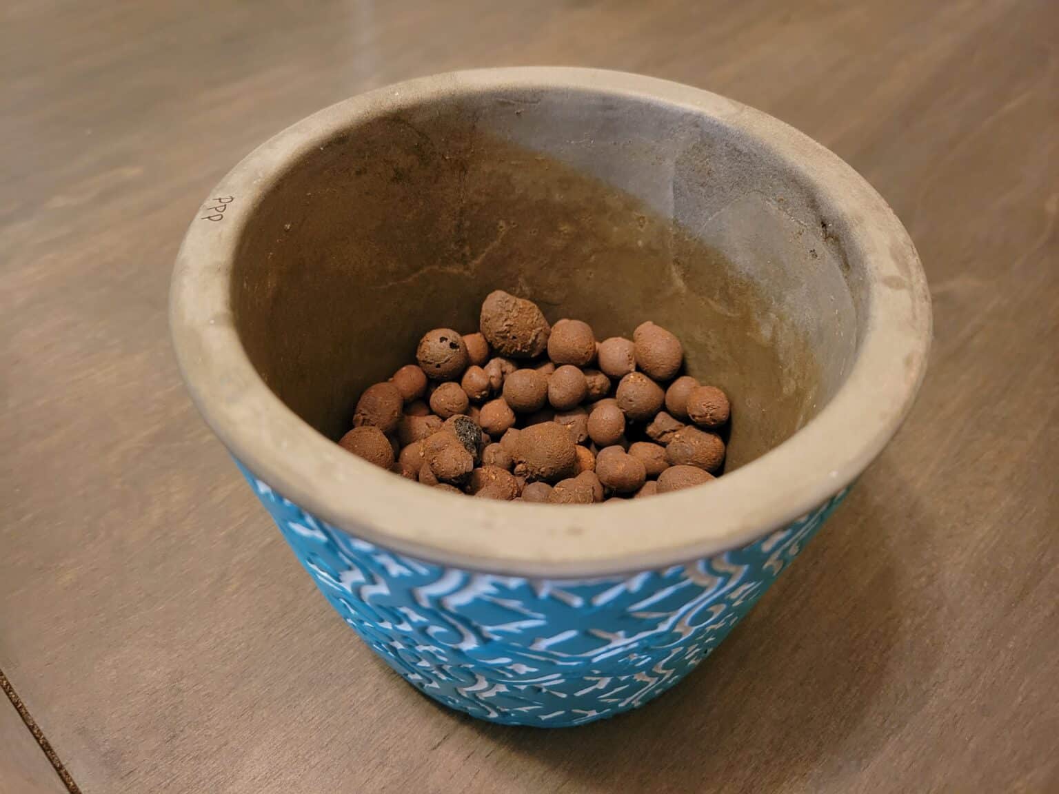 How to Use Clay Pebbles for Houseplants Just Houseplants